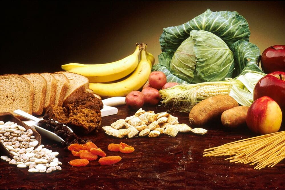 요즘 난리난 '파이버맥싱(Fibermaxxing)'이란? 2026 장 건강 트렌드 정리